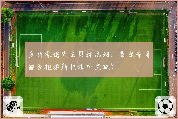 多特蒙德失去贝林厄姆，泰尔齐奇能否挖掘新核填补空缺？