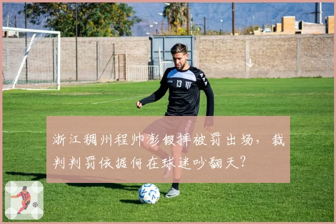 浙江稠州程帅澎假摔被罚出场，裁判判罚依据何在球迷吵翻天？