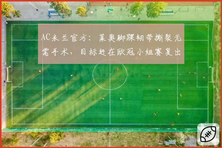 AC米兰官方:莱奥脚踝韧带撕裂无需手术,目标赶在欧冠小组赛复出